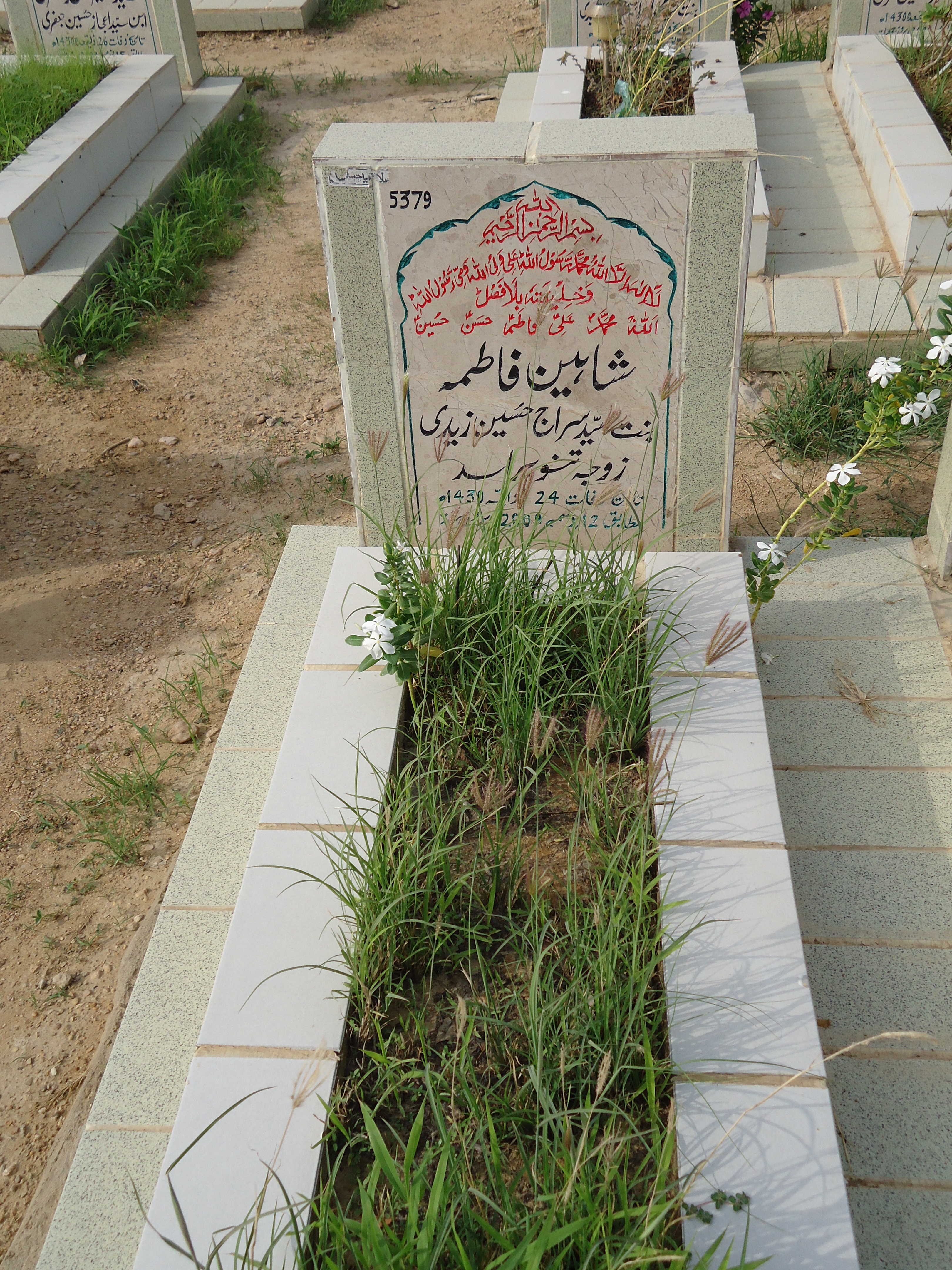 5379 – Shaheen Fatima